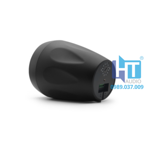 DSP4042 Loa cảnh quan stereo chịu mọi thời tiết 2 DSP4053 2