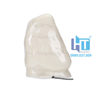 DSP641 Loa sân vườn chống nước 2 dsp641 1 1